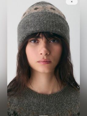 NWT Aritzia Bergen Beanie